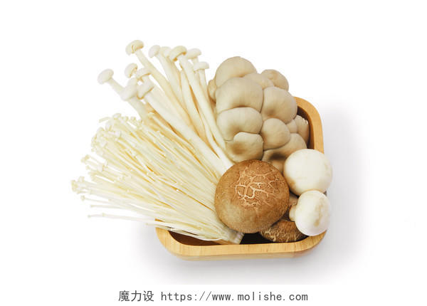 香菇白底木盘菌类组合平菇白玉菇菌类菌菇蘑菇